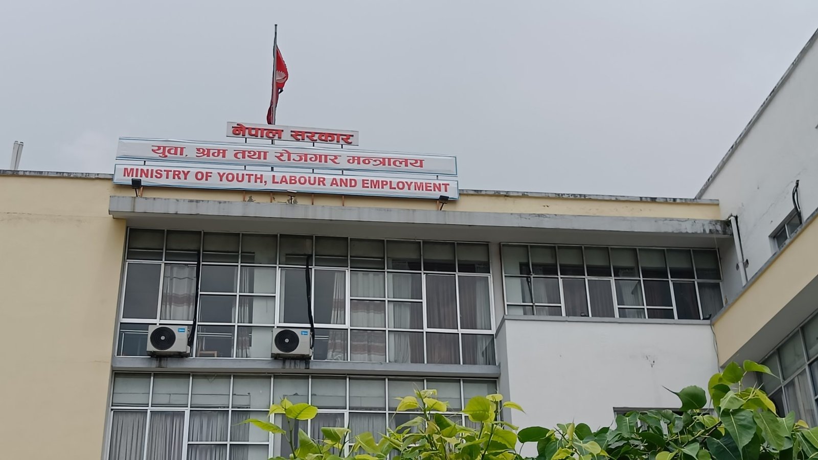 साउदीद्वारा जबरजस्ती सिप प्रमाणीकरण लागु, निजी कम्पनीमार्फत ५० डलर असुली